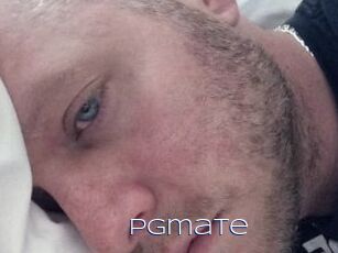 Pgmate