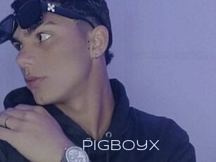 Pigboyx