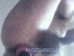 Piggyboy
