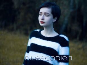 Pileacadieri