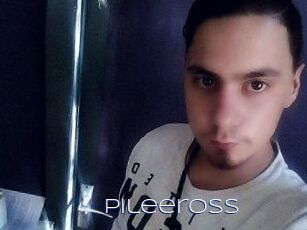 Pileeross