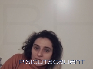 Pisicutacalient