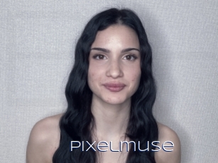 Pixelmuse