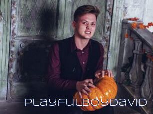 Playfulboydavid