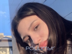 Pollimyr