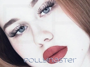 Pollynaster