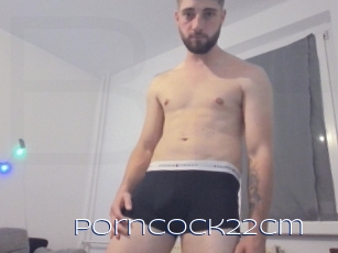 Porncock22cm
