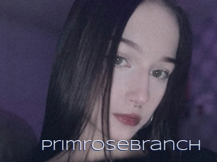 Primrosebranch