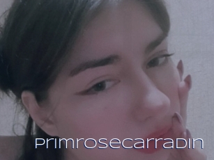 Primrosecarradin