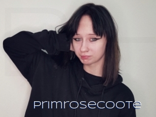 Primrosecoote