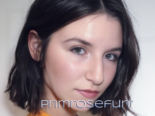 Primrosefurr
