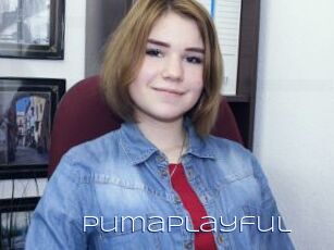 Pumaplayful