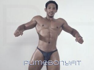 Pumebonyfit
