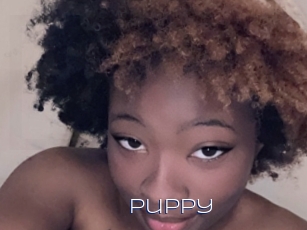Puppy