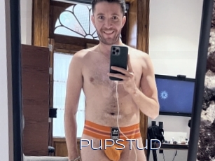 Pupstud