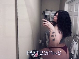 Pytbanks