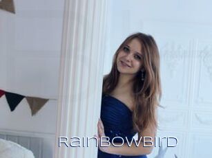 RainbowBird