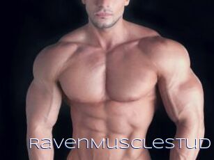 RavenMuscleStud