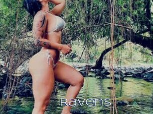 Ravens Blue Hot