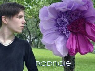 Rodrigie