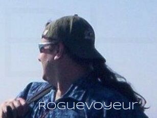 RogueVoyeur