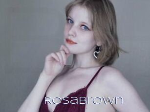 RosaBrown