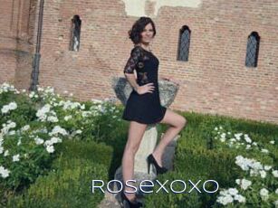 Rosexoxo