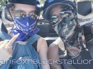 RussianfoxnBlackstallion