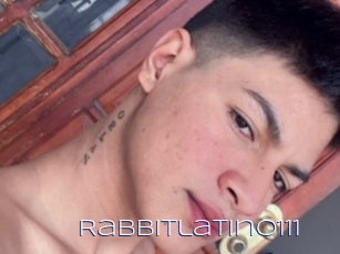 Rabbitlatino111