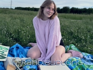 Randibudlong