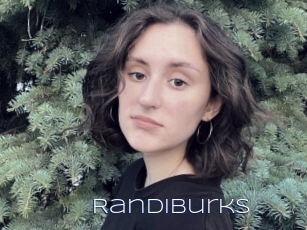 Randiburks
