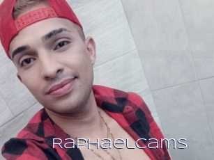 Raphaelcams