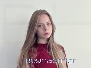 Reynagitter