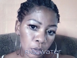 Ricewater