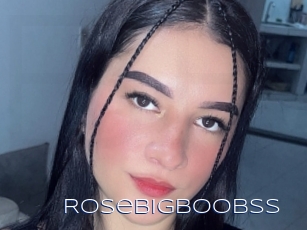 Rosebigboobss