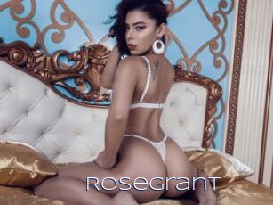 rosegrant Blue Hot