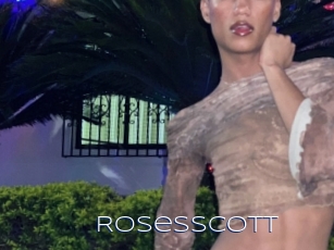 rosesscott Blue Hot
