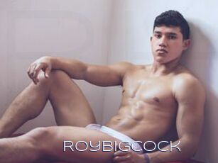 Roybigcock