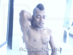 royblackbig Blue Hot