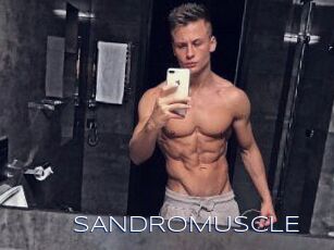 SANDRO_MUSCLE