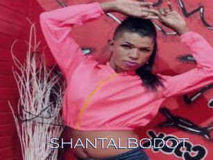 SHANTALBODOT