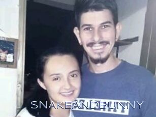 SNAKEANDBUNNY