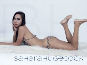 SaharaHugeCock