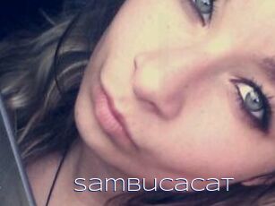 Sambucacat