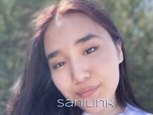 SaniLink