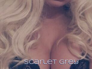 Scarlet_Grey