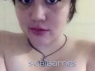 Sebi_Barnes