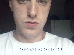 SexyBoyToy