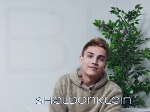 SheldonKlein