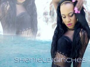 Shenielbiginches